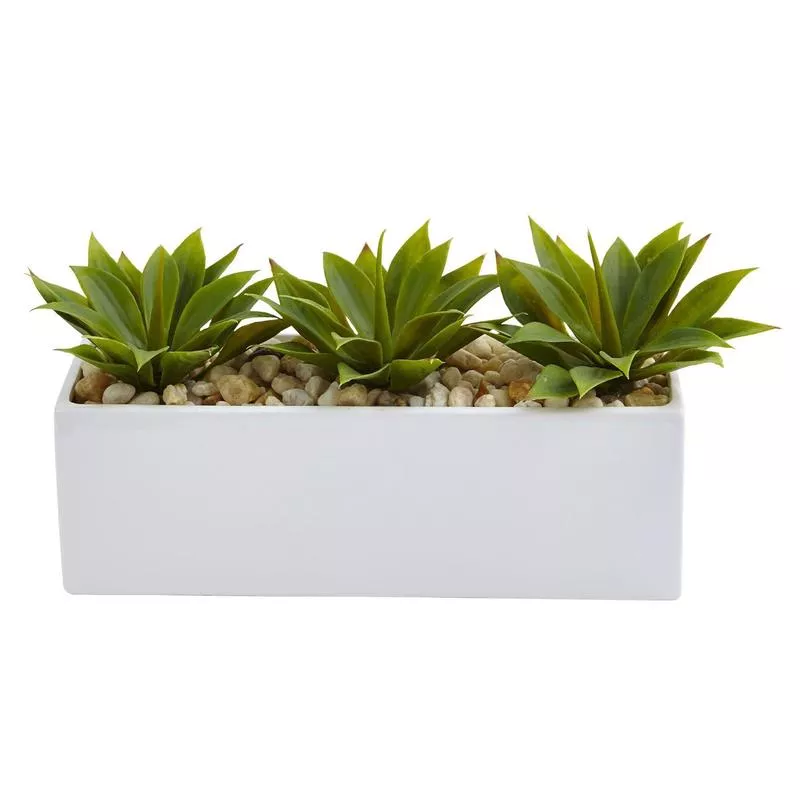 agave-succulent-in-rectangular-planter Agave Succulent in Rectangular Planter