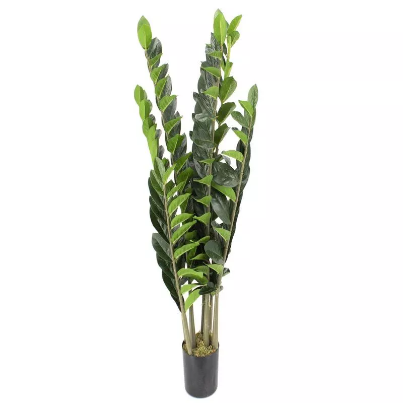 artificial-zz-plant-32 Artificial ZZ Plant – 32″