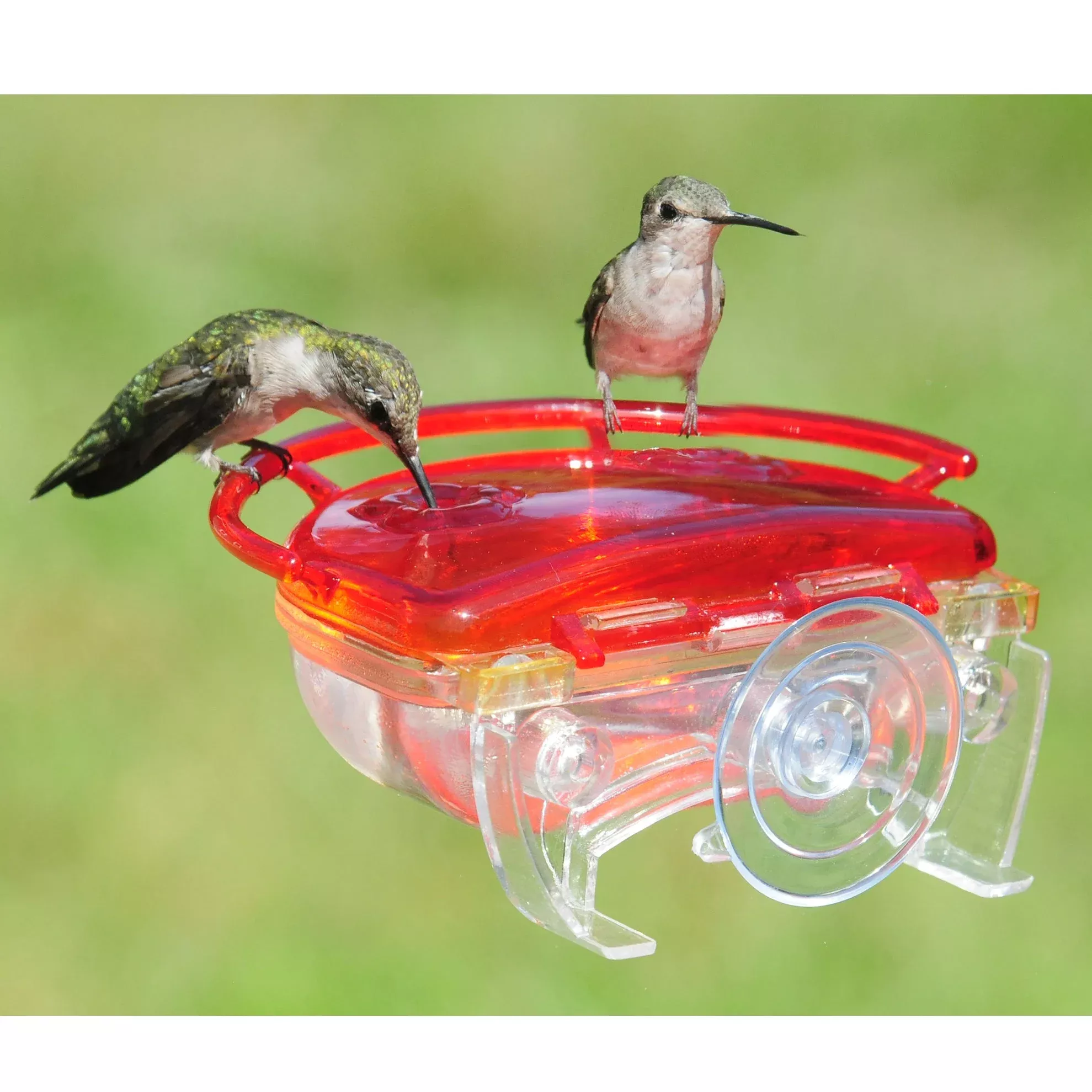 aspects-gem-window-hummingbird-feeder Aspects Gem Window Hummingbird Feeder