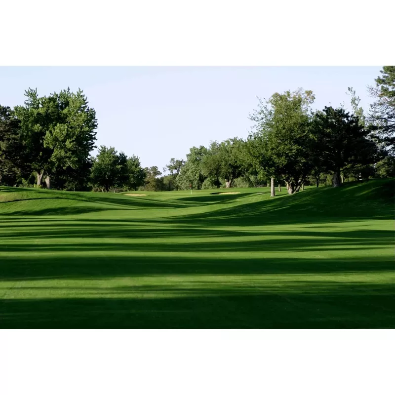 bad-harvest-2026-monaco-bermudagrass-seeds (Bad Harvest 2026) Monaco Bermudagrass Seeds