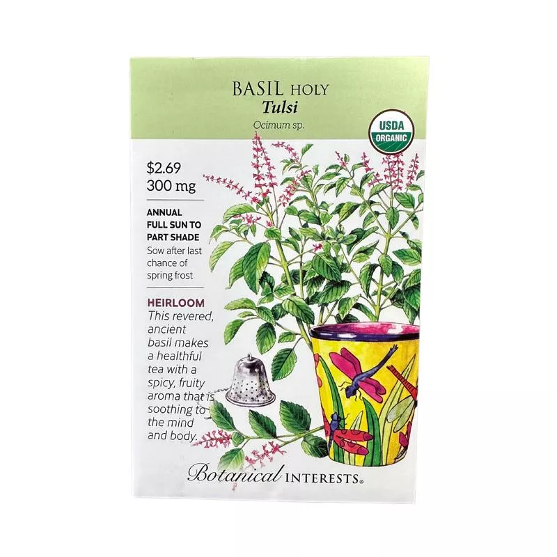 basil-holy-tulsi-org Basil Holy/Tulsi Org