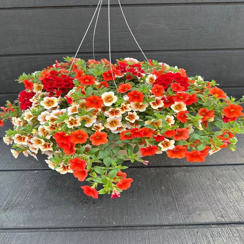 BASKET #45 – 12″ HANGING BASKET