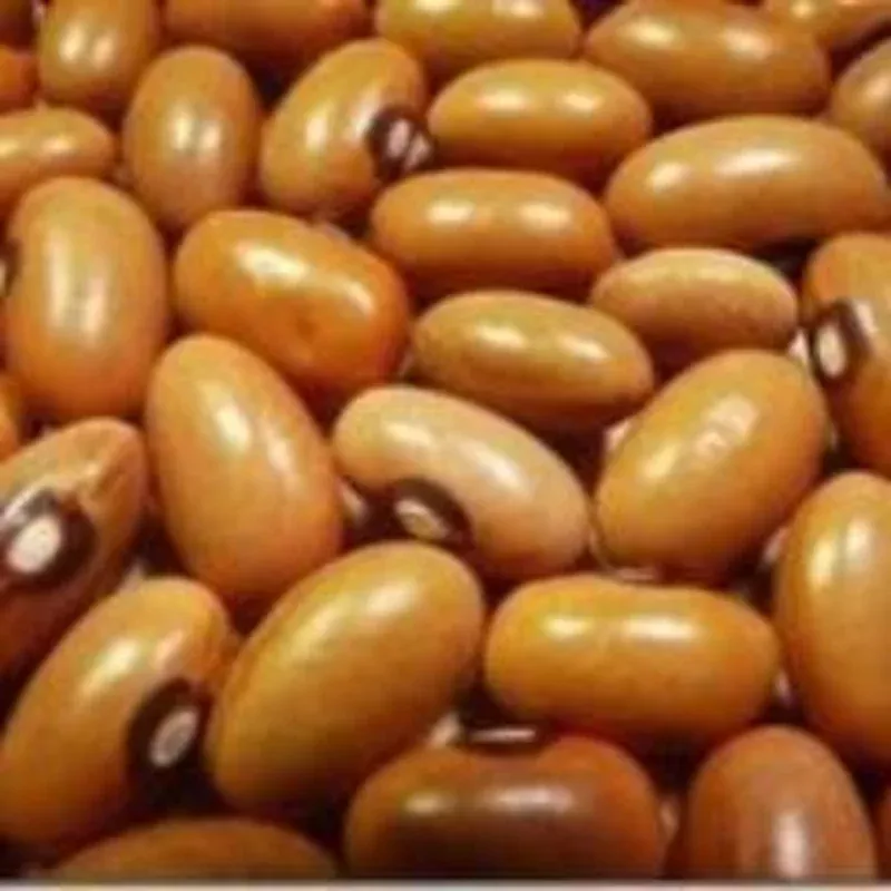 beans-gaucho Beans Gaucho