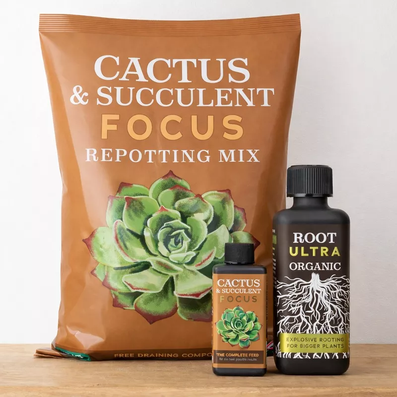 Cactus Care Bundle