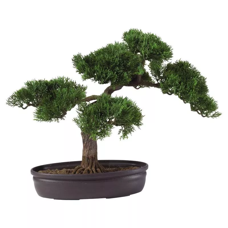 cedar-bonsai-16-silk-plant Cedar Bonsai 16″ Silk Plant”
