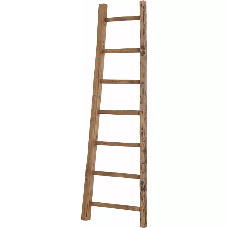 D-Bodhi Ladder