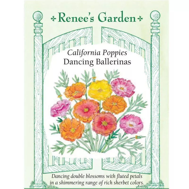 Dancing Ballerinas California Poppy Flower Seeds