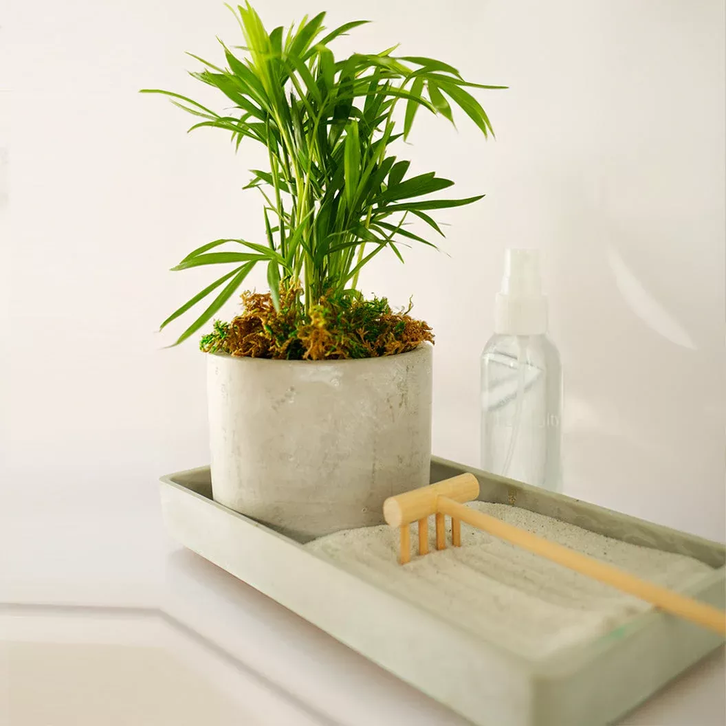 desktop-zen-garden-kit Desktop Zen Garden Kit