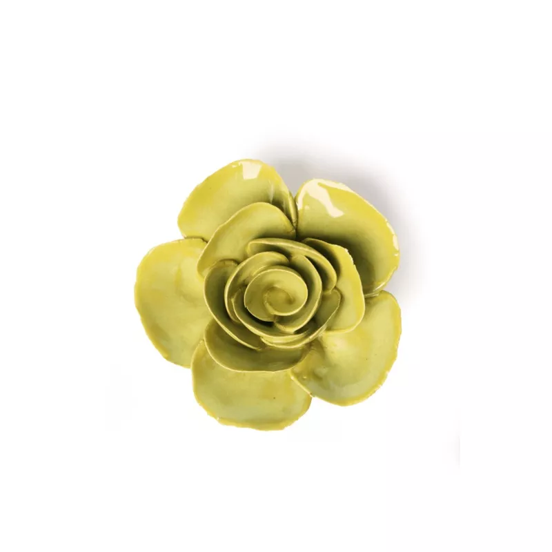 eg54-chartreuse-elegance-ranunculus #EG54 Chartreuse Elegance Ranunculus
