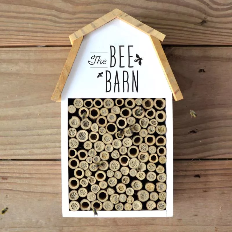 farm-house-bee-barn Farm House Bee Barn