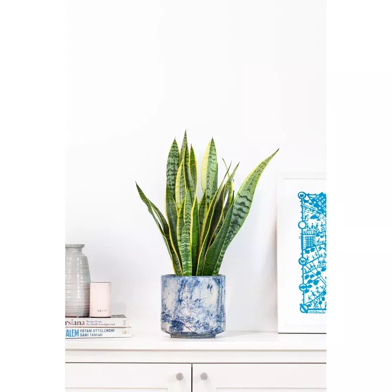 fractured-pot-blue Fractured Pot – Blue
