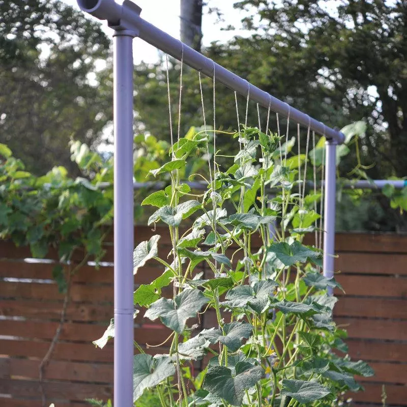 freyr-trellis Freyr Trellis