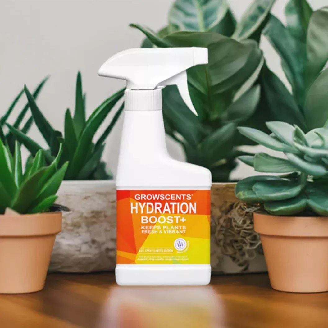 hydration-boost Hydration Boost +
