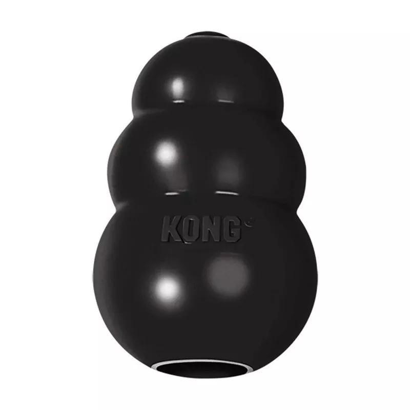kong-extreme-dog-toy KONG Extreme Dog Toy