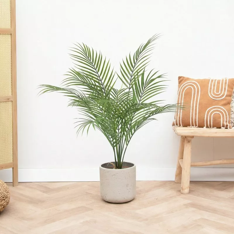 Kunst Kentia palm – 65cm