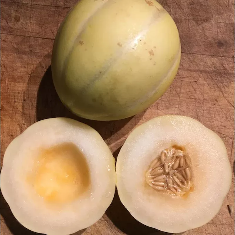 melon-swan-lake Melon Swan Lake
