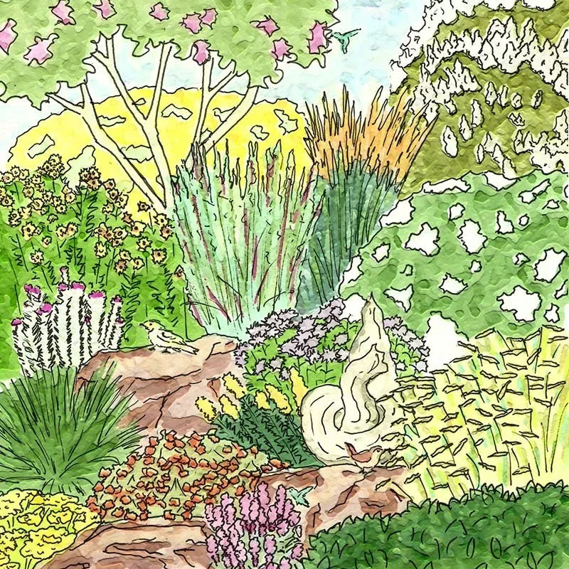native-southwest-songbird-pre-planned-garden Native Southwest Songbird Pre-Planned Garden
