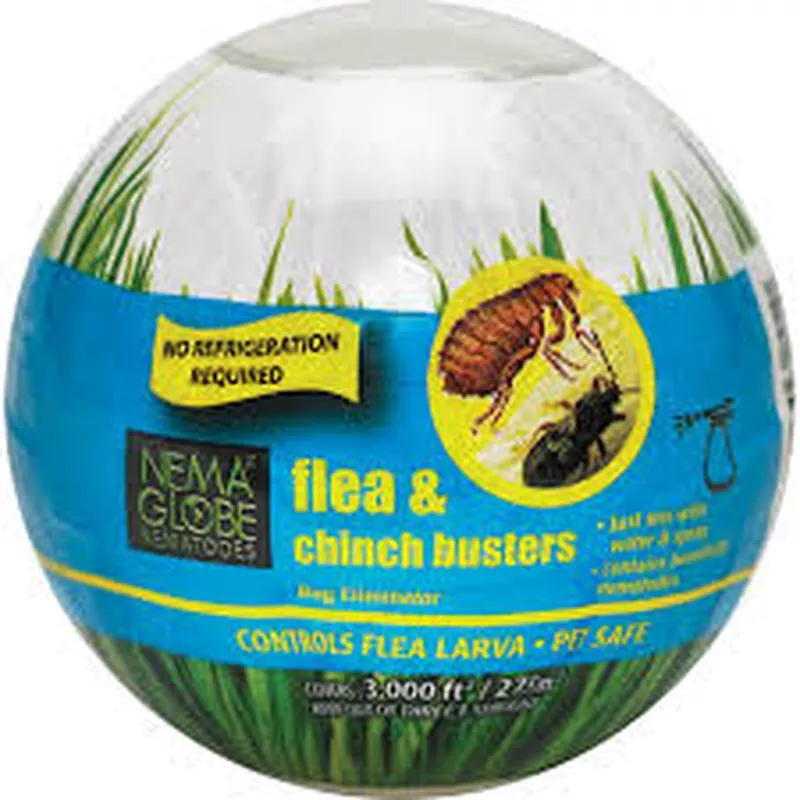 nema-globe-flea-chinch-busters Nema Globe Flea/Chinch Busters