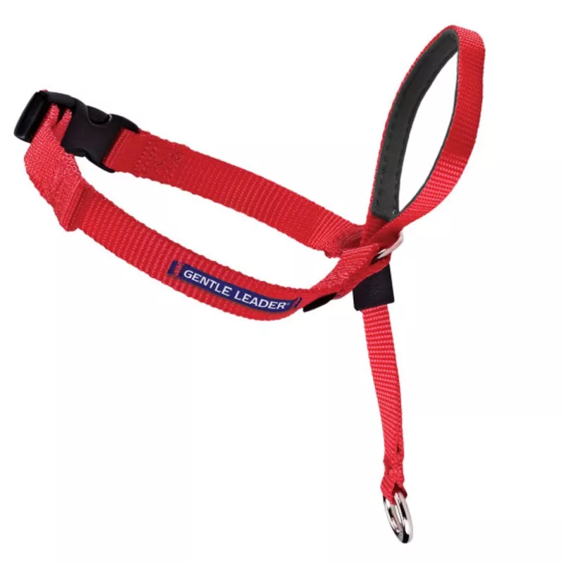 petsafe-gentle-leader-quick-release-red-headcollar-dogs Petsafe Gentle Leader Quick Release Red Headcollar for Dogs