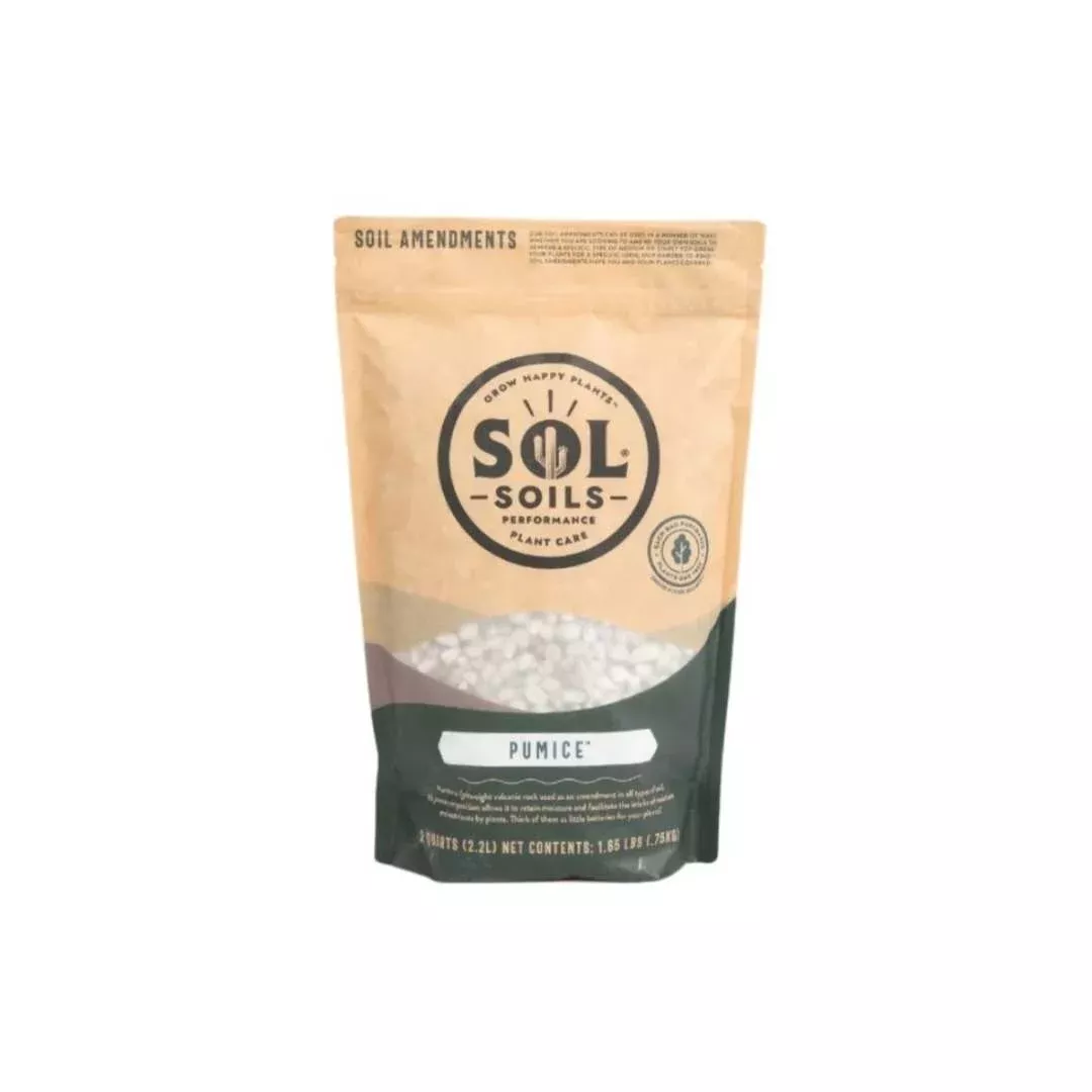 pumice-2-qt Pumice – 2 Qt.