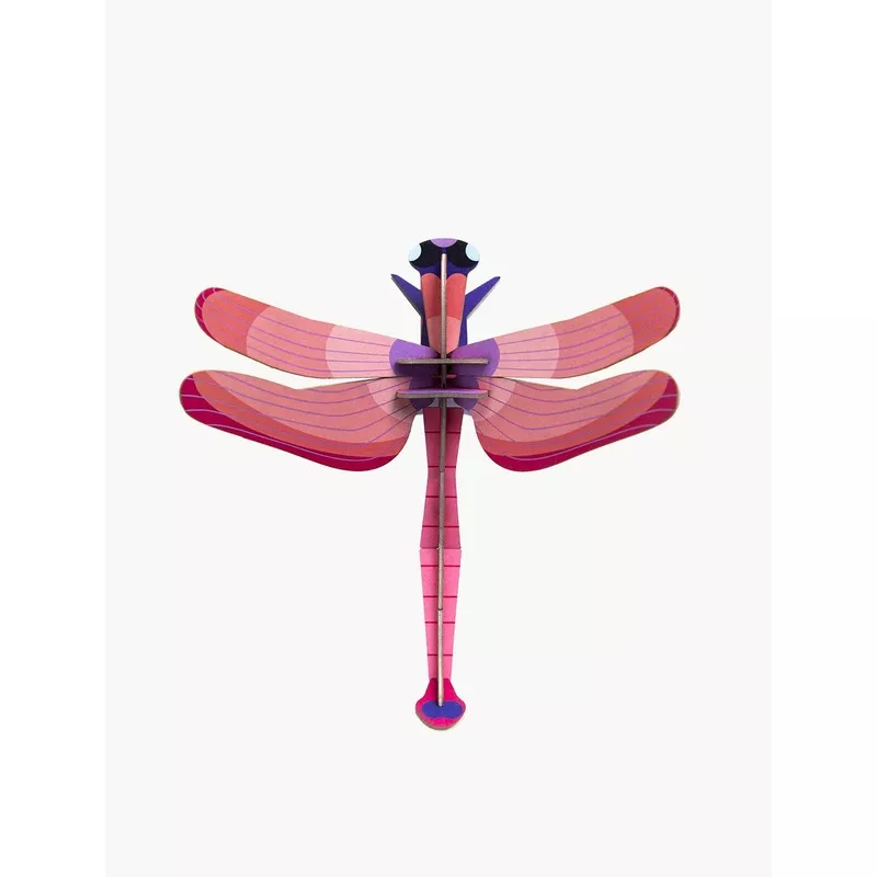 ruby-dragonfly Ruby Dragonfly