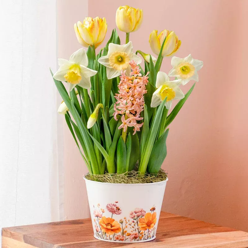 spring-sonnet-bulb-garden Spring Sonnet Bulb Garden