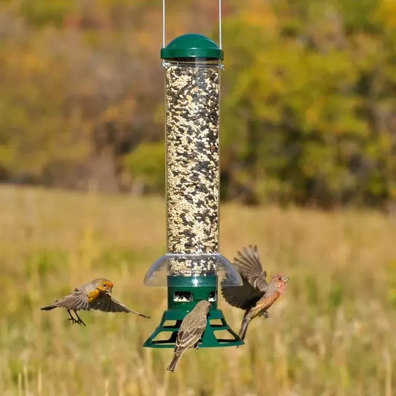 squirrel-slammer-wild-bird-feeder Squirrel Slammer Wild Bird Feeder