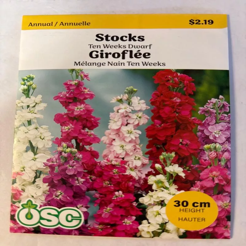 Stocks Seed Packets – Ten Weeks Dwarf