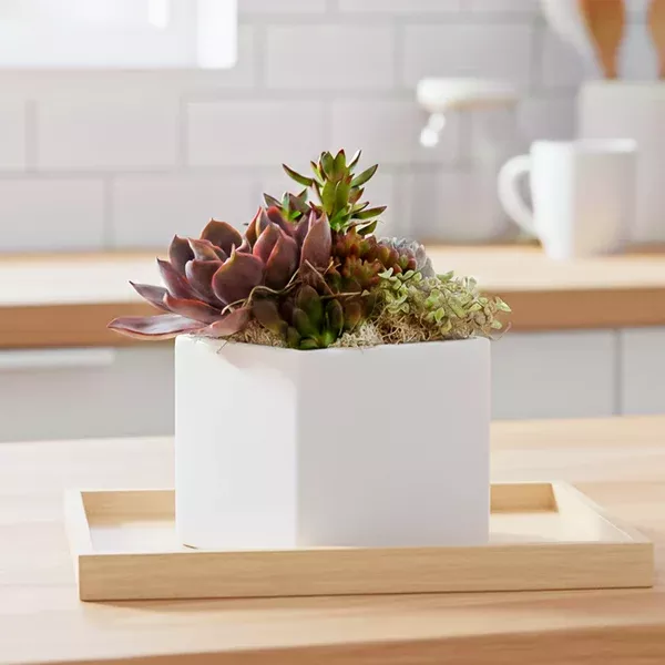 Urban Square Pot