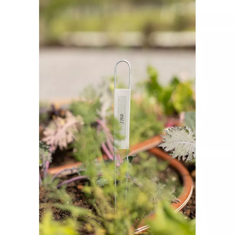 zinc-hairpin-plant-labels-12 Zinc Hairpin Plant Labels (12)