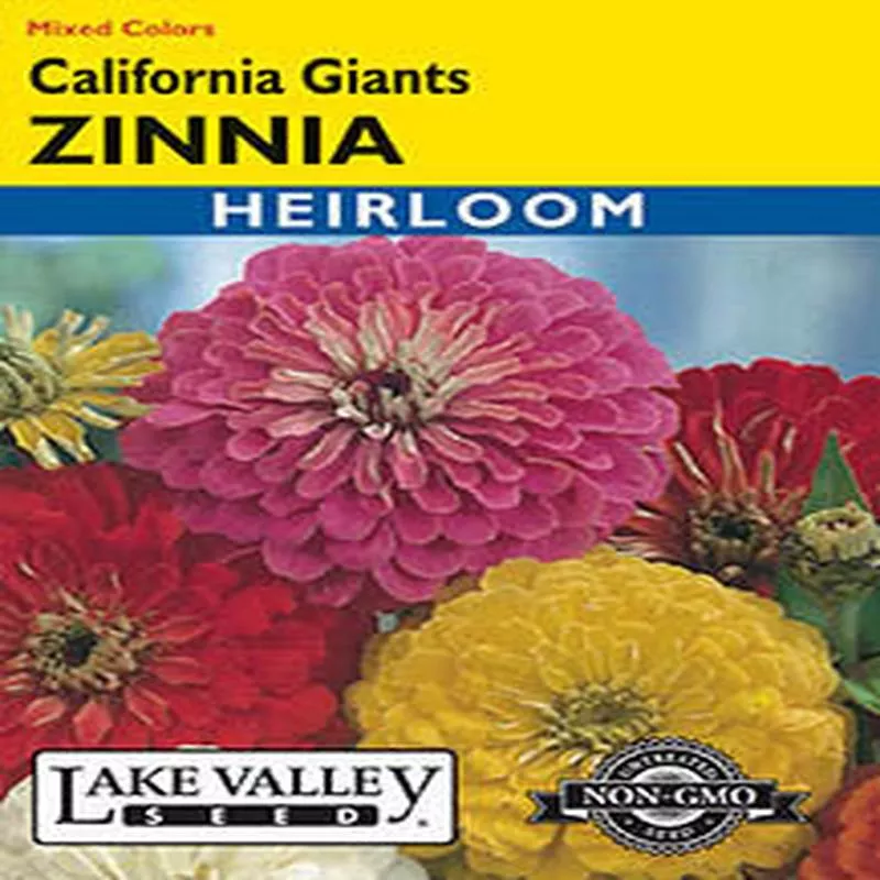 zinnia-california-giants-mixed-colors-heirloom ZINNIA CALIFORNIA GIANTS MIXED COLORS HEIRLOOM