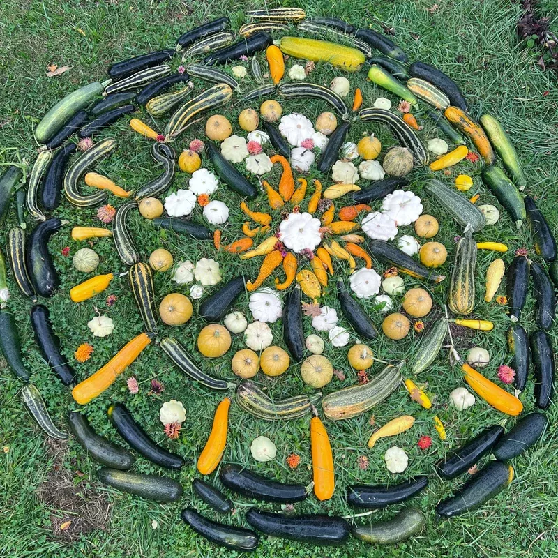 Zucchini Compost Creature Mix